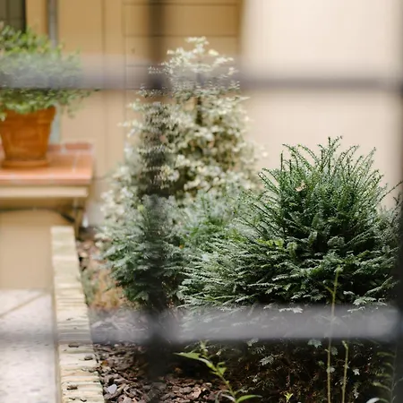 Casa Alidosi * Имола