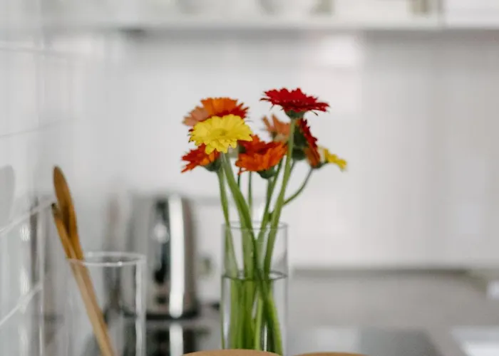 Casa Alidosi Apartman *