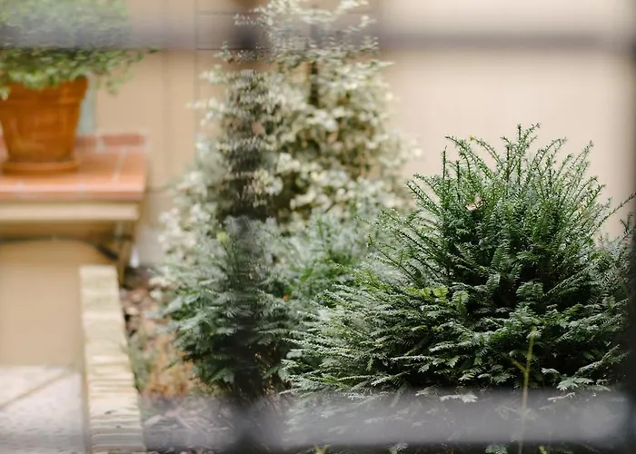 Casa Alidosi * إيمولا